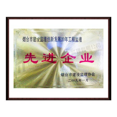 2009創(chuàng)新發(fā)展20年先進企業(yè)